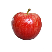 China fresh apple wholesale exporters